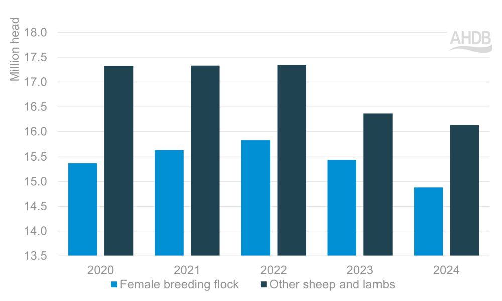 Graph showing UK sheep population at June 2024.